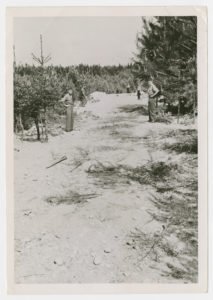 american-soldiers-view-mass-graves
